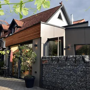 Apartment Winzerhof&weincafe Gümpelein, Willanzheim